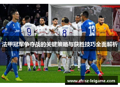 法甲冠军争夺战的关键策略与获胜技巧全面解析