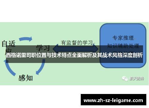西格诺里司职位置与技术特点全面解析及其战术风格深度剖析