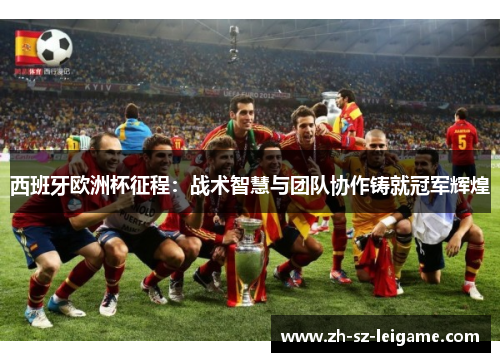 西班牙欧洲杯征程：战术智慧与团队协作铸就冠军辉煌