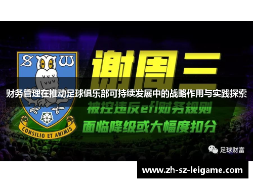 财务管理在推动足球俱乐部可持续发展中的战略作用与实践探索 财务管理在推动足球俱乐部可持续发展中的战略作用与实践探索