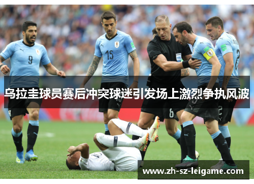 乌拉圭球员赛后冲突球迷引发场上激烈争执风波