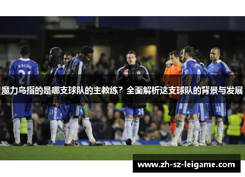 魔力鸟指的是哪支球队的主教练？全面解析这支球队的背景与发展