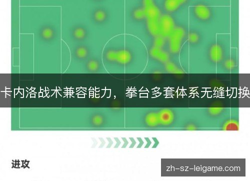 卡内洛战术兼容能力,拳台多套体系无缝切换 卡内洛战术兼容能力,拳台多套体系无缝切换